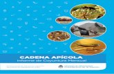 CADENA APÍCOLA - alimentosargentinos.gob.ar económico: precio de la miel al productor A partir del relevamiento mensual llevado a cabo por el equipo de INTA-PROAPI y el Ministerio