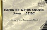 Bases de Datos usando Java : JDBCpatretcas.webcindario.com/manuales/jdbc.pdf– Representa una sesión con la conexión a la base de datos d elapicni prnóic–Ln fua connection, es