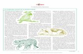 La extinción actual de la biodiversidad - comoves.unam.mx · medad, según Kumar Rajan, quien dirigió la investigación publicada en junio en Neuro-logy, revista de la Academia