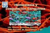 Hemostasia y coagulación Sanguínea · COAGULACION (Cese definitivo del sangrado) ... PDF TAFI Trombina. Pruebas de Laboratorio Perfil de la Coagulación HABITUALES