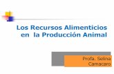 Los Recursos Alimenticios en la Producción Animal - …ucv.ve/.../2016/Clase_teorica_4_PA_Recursos_Alimenticios.pdfCostos competidos de recursos importados vs nacionales ... Disponibilidad