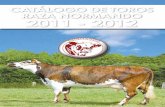 Catálogo de toros raza NormaNdo 2011 - 2012 · una ubre funcional y equilibrada, apta para el ordeño manual y mecánico. UNA GRAN LECHERA Y LA MEJOR QUESERA DEL MUNDO