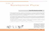 Cap. 6 Sustancia Pura - Miguel Hadzichmiguelhadzich.com/wp-content/uploads/2012/10/Cap-6-Sustancia-Pura... · 6.1 SUPERFICIES TERMODINÁMICAS (Diagrama P- v - T) Yo ... se determinan