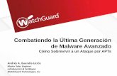 Combatiendo la Última Generación de Malware Avanzado INFOSECURITY SA… · RSA Lockheed Martin ... APT WatchGuard Architecture 3 Year Effort ... network security UTM Firmware Spanning