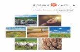 Informe Trimestral de Accionistas - riopaila-castilla.com · Al cierre del mes de septiembre, la etapa de precomisionamiento y pruebas del proyecto de repotenciación de la caldera