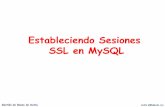 Estableciendo Sesiones SSL en MySQLlmengual/GESTION_BD/GBD_ACCESO_SSL.… · MySQL Workbench (I) Gestión de Bases de Datos LUIS MENGUAL (c) Conexión Cliente root ssl MySQL Workbench