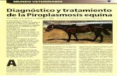 Diagn³stico ytratamiento de la Piroplasmosis .^ ^ ^ ; ^ ^ ^a^,.^. ^^, Diagn³stico ytratamiento