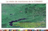 Presentación de PowerPoint - biodiversidad.gob.mx · Datos de entrenamiento Imagen SPOT 5 (10 m) ... la que se encuentran los manglares de México, que aporten bases sólidas para