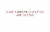 EL METABOLISME DELS LÍPIDS i L’ATEROÈNESI · EL METABOLISME DELS LÍPIDS i L’ATEROÈNESI. ELS LÍPIDS ... Plasma lipid, lipoprotein and apolipoprotein concentrations (mg/dl)