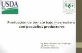 Producción de tomate bajo invernadero con pequeños ...uvg.edu.gt/investigacion/resultados/2_Tomate_en_invernadero_Edwin... · Producción de tomate bajo invernadero con pequeños