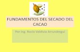 FUNDAMENTOS DEL SECADO DEL CACAO - … · fermentación del cacao el grano queda con un contenido de humedad de aproximadamente 60%, que debe ser reducido hasta un valor próximo