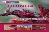 Cadena agroproductiva de la Quinua QUINUA - inkanat.org · Cadena Productiva de la Quinua ... continuo para centrar la atención mundial sobre el papel que juega la biodiversidad