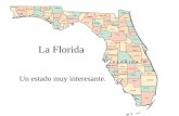 La Florida - teacherspace.swindsor.k12.ct.usteacherspace.swindsor.k12.ct.us/staff/skirby/documents/LaFlorida.pdf · Ponce de Leon en 1513. •Colonia francesa establecida en 1564.