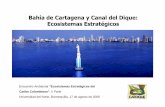 Bahía de Cartagena y Canal del Dique: Ecosistemas Estratégicos · Bahía de Cartagena y Canal del Dique: Ecosistemas Estratégicos Encuentro Ambiental “Ecosistemas Estratégicos