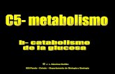 J. L. Sánchez Guillén IES Pando - Oviedo – … ÍNDICE 1 – Glucolisis 2 – Mitocondrias 3 – Ciclo de Krebs 4 – Cadena respiratoria 5 – Balance de la respiración celular