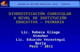 DIVERSIFICACIÓN CURRICULAR A NIVEL DE … · PPT file · Web view2012-01-11 · Una vez que se ha elaborado el Proyecto Curricular Institucional, se cuenta con los Programas Curriculares