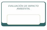 EVALUACIÓN DE IMPACTO AMBIENTAL - Ing. Edson … · PPT file · Web view2012-12-09 · Definir el alcance del estudio de impacto ambiental para establecer los aspectos claves que