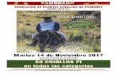 SIERRA VISTA S.A. - zambrano.com.uy · Asociación Rural de Tacuarembó En el marco de la Feria de Yeguarizos 60 CRIOLLOS PI en todas las categorías ... BT Flete do Junco Próxima