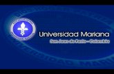 Presentación de PowerPoint - UNIVERSIDAD MARIANA · 2,5 cm Portada TitulÍÌÌo del trabqïo Titulo del Trabajo Autores Leyenda de trabajo de grado* Nombre completo Asesor Universidad