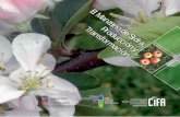 Transformación l Manzano de Sidra; ucción ycifacantabria.org/Documentos/7acce9R1896895501folletomanzana... · de floración, vigor, temperaturas ... Conocer la época de maduración