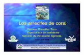 Los arrecifes de coral - academic.uprm.eduacademic.uprm.edu/gonzalezc/HTMLobj-766/encumararrecifes.pdf · Los arrecifes de coral Carmen González Toro Especialista en ambiente Servicio