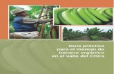 Guía práctica para el manejo de banano orgánico en el ... · técnico del cultivo de banano orgánico desarrollada por ellos mismos. El cultivo de banano se constituye en uno de