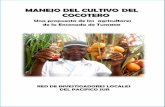 COAGROPACIFICO LTDA. - sioc.minagricultura.gov.co - Documentos... · MANEJO DEL CULTIVO DEL COCOTERO Una propuesta de los agricultores de la Ensenada de Tumaco ... Sembramos el plátano
