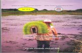  · Esta publieación sobre el cultivo de arroz en condiciones ... y la Mistón Tecnica Agricola de ... de que Sirva como guia técnica la produccidn del cultivO en este ...