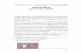 Procedimientos de acabado y pulido - media.axon.esmedia.axon.es/pdf/73297_4.pdf · mente determinantes en la ... Posicionada la incrustación en forma adecuada dentro de la cavidad