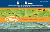 Manual de identificación de enferMedades de la soja - inia.uy compartidos/bd 104_2013.pdf · el objetivo de este manual es brindar a técnicos y productores una guía práctica que