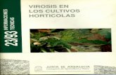 en cultivo s... · virosis en los cultivos horticolas consejería de agricu/turaypesca direccion general de investigacion. tecnologia y formacion agroalimentaria y pesquera