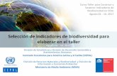 Selección de indicadores de biodiversidad para elaborar ... · Curso-Taller para Construir y Sostener ... Oceanográfica Internacional y la Comisión Permanente del Pacífico ...
