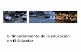 El financiamiento de la educación en El Salvador - FIECA · 1992 2007 2010 Adultos (15+) 811,453 ... –Plan Decenal –Plan 2021 –Plan social. Internacionales ... 2001 2002 2003