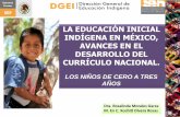 LA EDUCACIÓN INICIAL INDÍGENA EN MÉXICO, AVANCES EN … Proyectos Actividad... · Con Necesidades Educativas ... Protección y el Bienestar de los niños, con particular Referencia