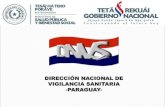DIRECCIÓN NACIONAL DE VIGILANCIA SANITARIA -PARAGUAY- · Por el cual se dispone la vigencia en la Republica del Paraguay de las resoluciones adoptadas por el grupo mercado común