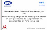 JORNADAS DE CAMPOS MADUROS DE GAS Alivio de …oilproduction.net/files/Descarga de liquidos en pozos de gas... · Alivio de carga liquida en pozos productores de gas por medio de