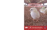 AGRICULTURA FORMACIÓN GANADERIA BIENESTAR … · bienestar animal en explotaciones de aves agricultura ganaderia pesca y acuicultura formaciÓn consejeria de agricultura, pesca y