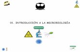 01. INTRODUCCIÓN A LA MICROBIOLOGÍAdepa.fquim.unam.mx/microbio/1410MG-06/T-Presentaciones/Tema01/T … · de la leche de los alimentos para biosíntesis control en procesos 01.1)