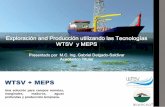 WTSV + MEPS - ai.org.mx · infraestructura submarina, etc. c) Determinar el tipo de ducto ascendente (riser) se va a utilizar