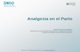 Analgesia en el Parto - DARYD: Departamento de ...anestesiadexeus.com/wp-content/pdf/Analgesiaparto.pdf · Analgesia en el Parto ... El dolor en el proceso de parto es intenso ...