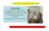 PROGRAMA - Junta de Andalucía · 1.Analgesia en el parto 2.Analgesia con Oxido nitroso ... inmersión en agua tibia durante el trabajo de parto, masajes, música.. 200 gestantes