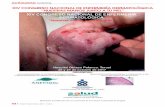 XiV cONGRESO NaciONal dE ENFERMERÍa … · • Una década de investigación en cuidados de la piel a través de la Revista Enfermería Dermatológica: Estudio cienciométrico. José