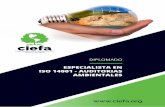 ESPECIALISTA EN ISO 14001 - AUDITORIAS …cebem.org/boletin/2017/ciefa/eiso_aa.pdf · DISEÑO CURRICULAR 05. METODOLOGÍA 06. MEDIOS Y MATERIALES 07. ... GENERALES DE LA AUDITORIA
