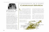 Historia deL Calakmul - Ecofronterasrevistas.ecosur.mx/filesco/194.pdf · 2013-11-27 · de Campeche, en el re-La Reserva de la Biósfera de ... además del palo de tinte, Achatocarpus