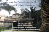 Impacto de las Bacteriemias en Unidades de cuidados .... Gentile-Bacteriemias Cartagena... · Deterioro de la planta física de las instituciones, Obsolescencia ... n El uso de antibióticos