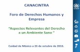 CANACINTRA Foro de Derechos Humanos y Empresacanacintra.org.mx/cintra/ACTIVA/MARIA.BARRIENTOS.pdf · es de 19.7 PWh (EIA 2015). (Ecofys, 2009) ... • 2025, nueva demanda a ser atendida