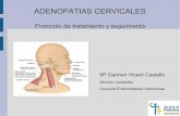 ADENOPATIAS CERVICALES · ADENOPATIAS CERVICALES Protocolo de tratamiento y seguimiento Mª Carmen Vicent Castello Seccion Lactantes Consulta Enfermedades Infecciosas