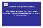 SÍNDROME MONONUCLEOSIFORME - fmed.uba.ar³rico 20 Microbiología 2.pdf · • ebnas: 1, 2, 3 a, 3 b, 3 c, lp ... faringitis exudativa. leucoplasia vellosa. adenomegalias cervicales