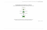 PROGRAMA DE DESARROLLO URBANO Y …intranet.e-hidalgo.gob.mx/NormatecaE/Archivos/PDUOTZMVT.pdf · determinación de los usos, provisiones y destinos del suelo urbano, la ordenación