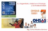 La Seguridad y Salud en el Trabajo y la Productividadusmp.edu.pe/vision2013/pdf/Diapos_confe/La_Seguridad.pdf · Comisión Guatemalteca de Normas (Coguanor) Guatemala Instituto Nacional